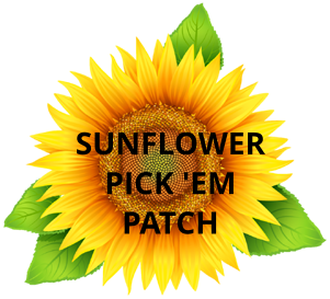 Sunflower Patch