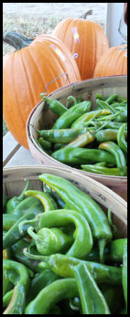 Chile and Pumpkins