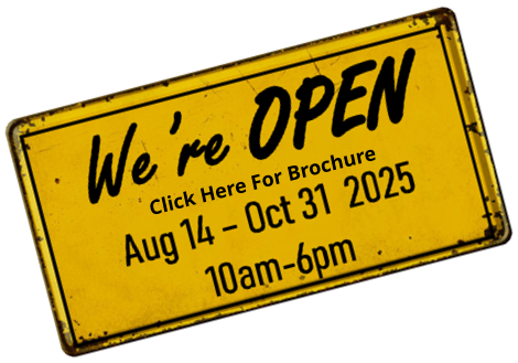 Click Here For Brochure